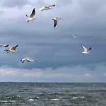 Nad Morzem Przy Klifie Debina Apartamento