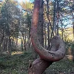 Nad Morzem Przy Klifie Debina Apartamento