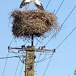 Nad Morzem Przy Klifie Debina Apartamento Debina (Ustka)