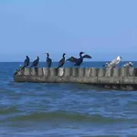 Nad Morzem Przy Klifie Debina Apartamento Debina (Ustka)