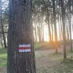 Nad Morzem Przy Klifie Debina