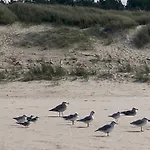 Nad Morzem Przy Klifie Debina Apartamento Debina (Ustka)