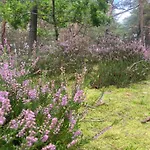 Nad Morzem Przy Klifie Debina Apartamento Debina (Ustka)