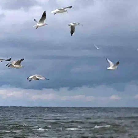 Nad Morzem Przy Klifie Debina アパート