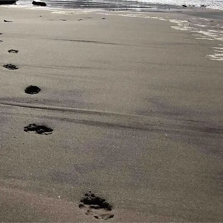 Appartamento Nad Morzem Przy Klifie Debina *