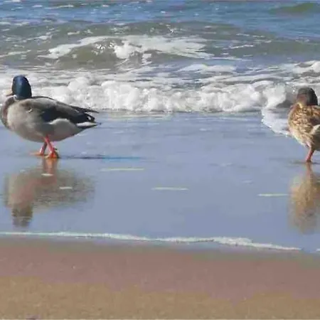 Appartamento Nad Morzem Przy Klifie Debina Debina (Ustka)