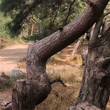 Nad Morzem Przy Klifie Dębina * Debina (Ustka)