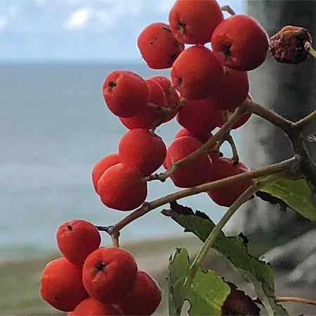 Nad Morzem Przy Klifie Debina アパート