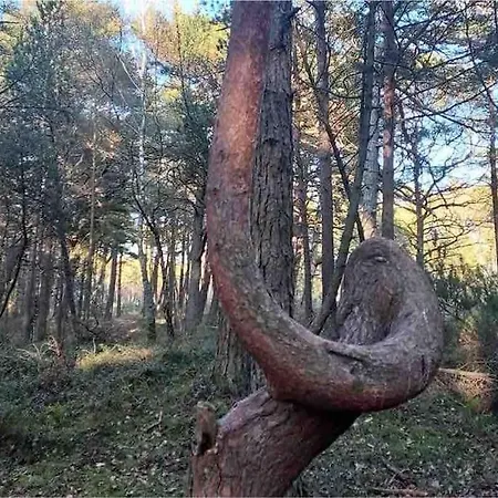 Nad Morzem Przy Klifie Debina アパート