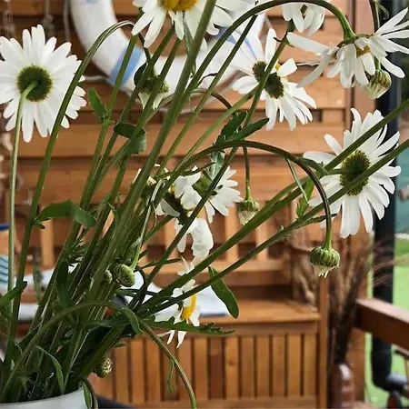 Nad Morzem Przy Klifie Debina * Debina (Ustka)