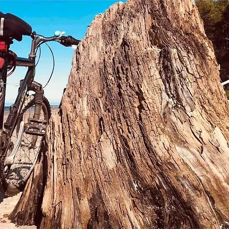 Nad Morzem Przy Klifie Debina Debina (Ustka)