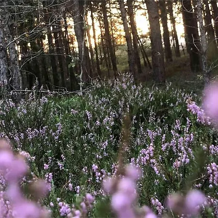 アパート Nad Morzem Przy Klifie Debina *