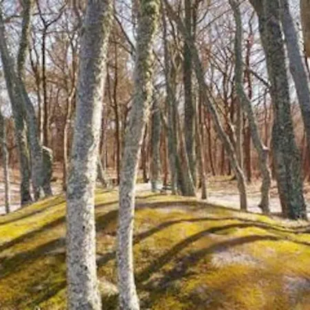 Nad Morzem Przy Klifie Debina アパート Debina (Ustka)