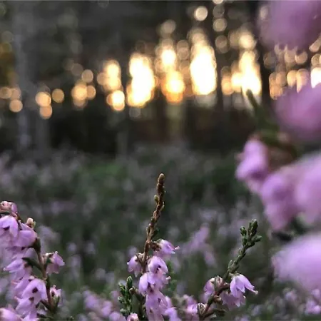 Appartamento Nad Morzem Przy Klifie Debina *