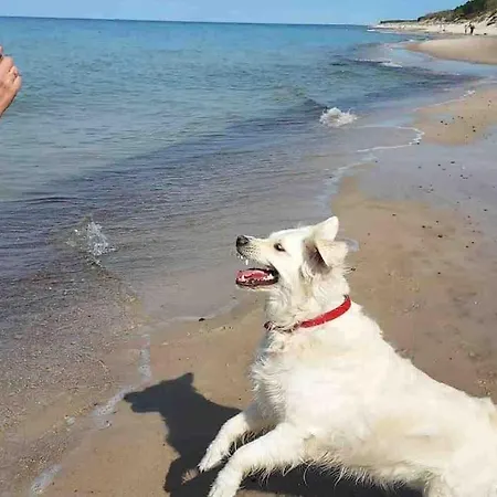 Nad Morzem Przy Klifie Debina *