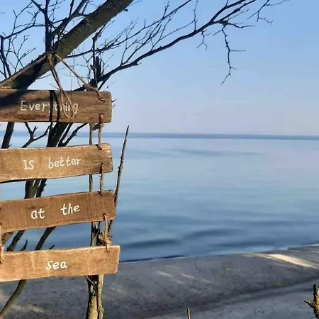 Nad Morzem Przy Klifie Debina