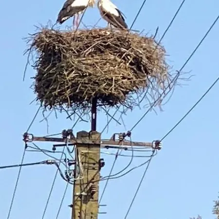 Nad Morzem Przy Klifie Debina Appartamento Debina (Ustka)