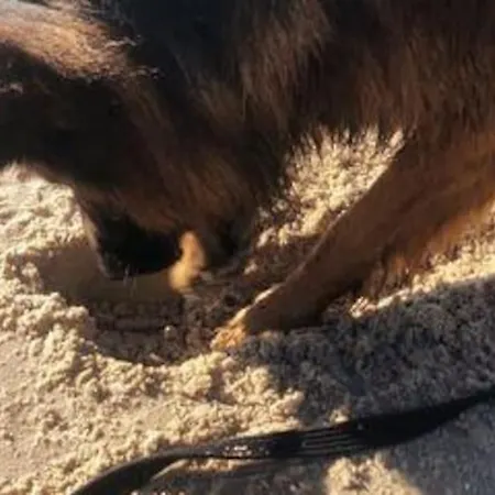 アパート Nad Morzem Przy Klifie Debina Debina (Ustka)