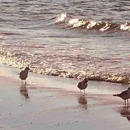 Nad Morzem Przy Klifie Debina Appartamento