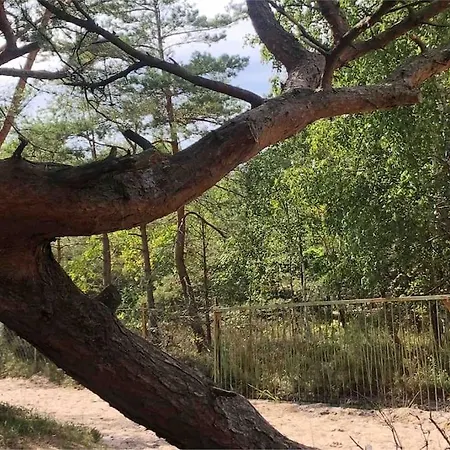 Nad Morzem Przy Klifie Debina アパート