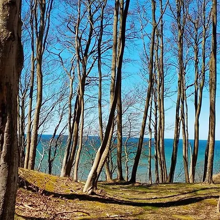 Nad Morzem Przy Klifie Debina *