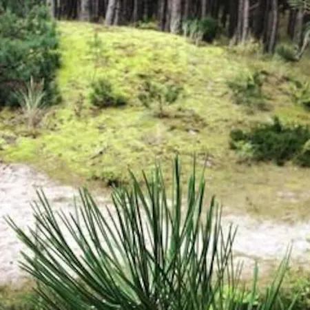 Nad Morzem Przy Klifie Debina アパート Debina (Ustka)