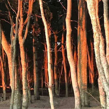 Appartamento Nad Morzem Przy Klifie Debina Debina (Ustka)