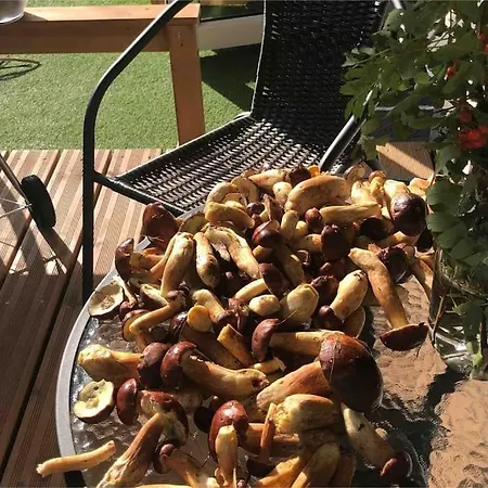 アパート Nad Morzem Przy Klifie Debina *