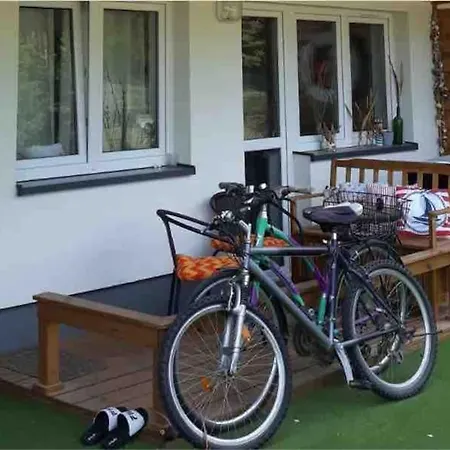 Nad Morzem Przy Klifie Debina *