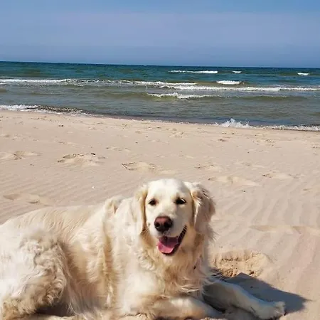 Appartamento Nad Morzem Przy Klifie Debina Debina (Ustka)