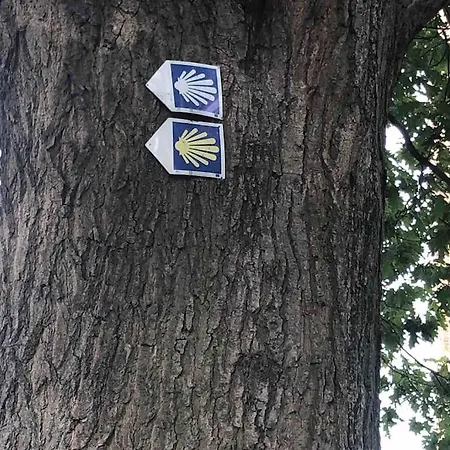 Apartmán Nad Morzem Przy Klifie Debina