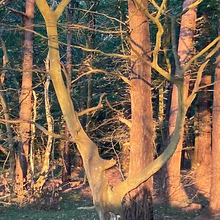 Nad Morzem Przy Klifie Debina * Debina (Ustka)