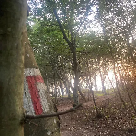 Nad Morzem Przy Klifie Debina Appartamento