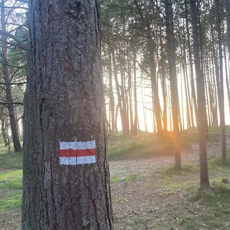 Nad Morzem Przy Klifie Debina