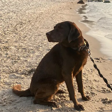 アパート Nad Morzem Przy Klifie Debina