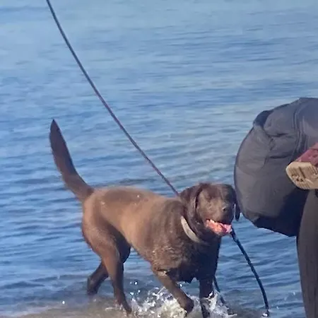 Nad Morzem Przy Klifie Debina *