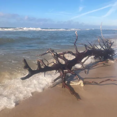 Nad Morzem Przy Klifie Debina Appartamento Debina (Ustka)