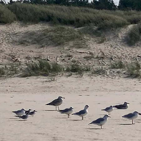 Nad Morzem Przy Klifie Debina アパート Debina (Ustka)