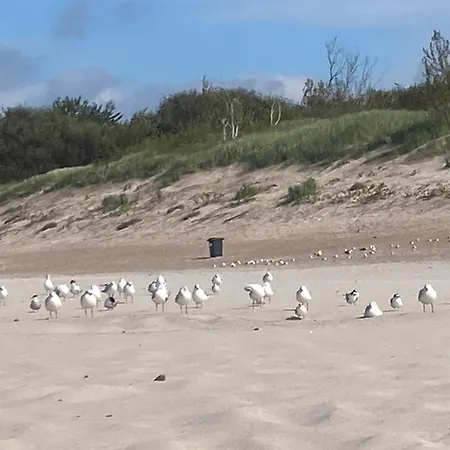 Appartamento Nad Morzem Przy Klifie Debina