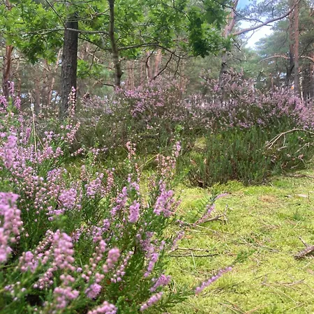 Nad Morzem Przy Klifie Debina Appartamento Debina (Ustka)