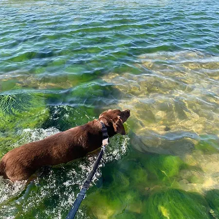 Appartamento Nad Morzem Przy Klifie Debina *