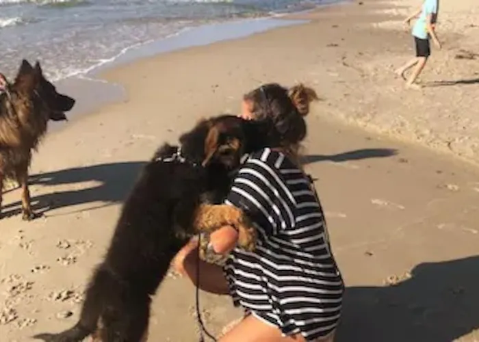 Nad Morzem Przy Klifie Debina