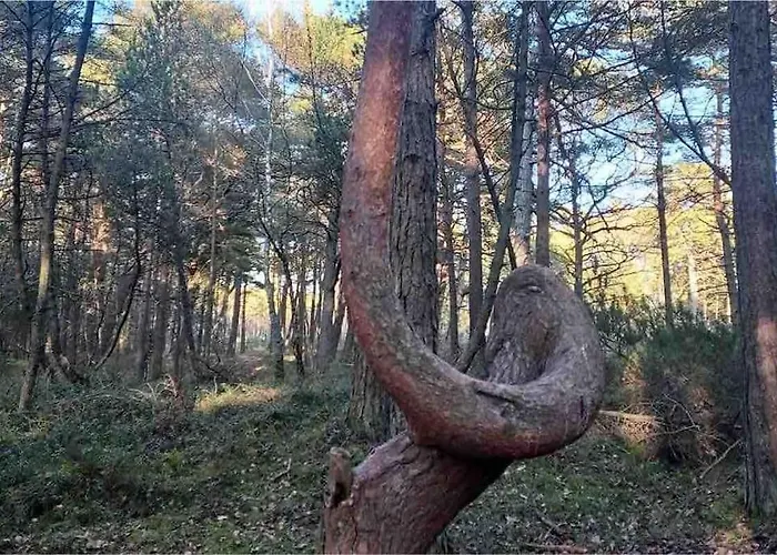 Nad Morzem Przy Klifie Debina Апартаменты