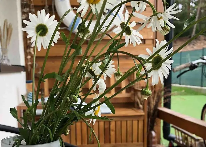 Nad Morzem Przy Klifie Debina * Debina (Ustka)