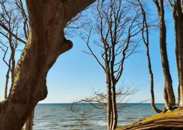 Апартаменты Nad Morzem Przy Klifie Debina Debina (Ustka)