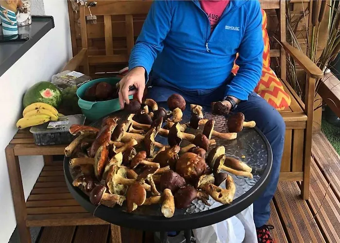 Апартаменты Nad Morzem Przy Klifie Debina Debina (Ustka)