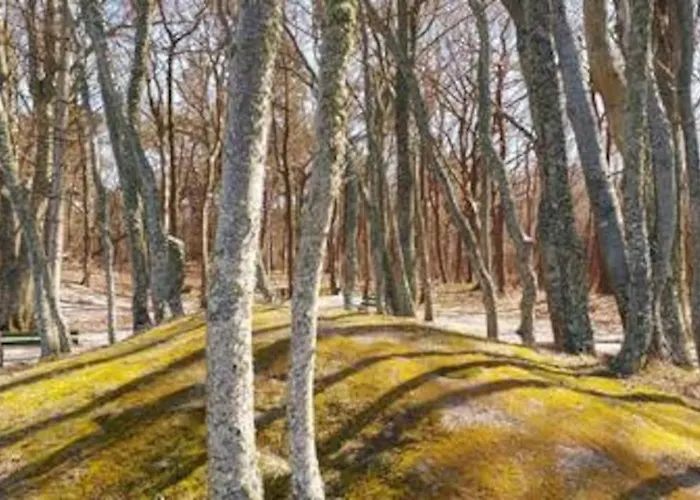 Nad Morzem Przy Klifie Debina Апартаменты Debina (Ustka)