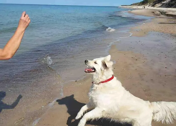 Nad Morzem Przy Klifie Debina *