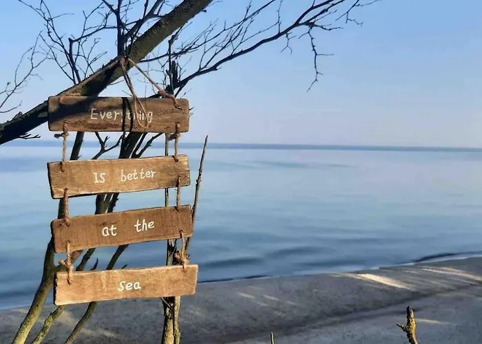 Nad Morzem Przy Klifie Debina