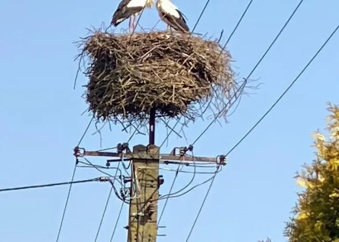 Nad Morzem Przy Klifie Debina Апартаменты Debina (Ustka)